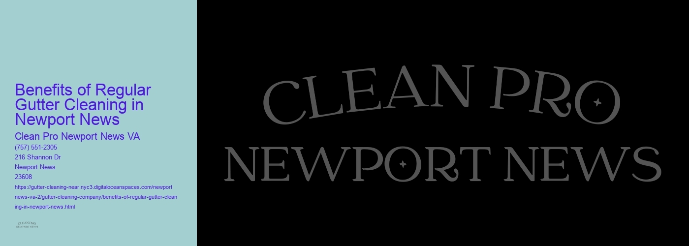 Benefits of Regular Gutter Cleaning in Newport News 